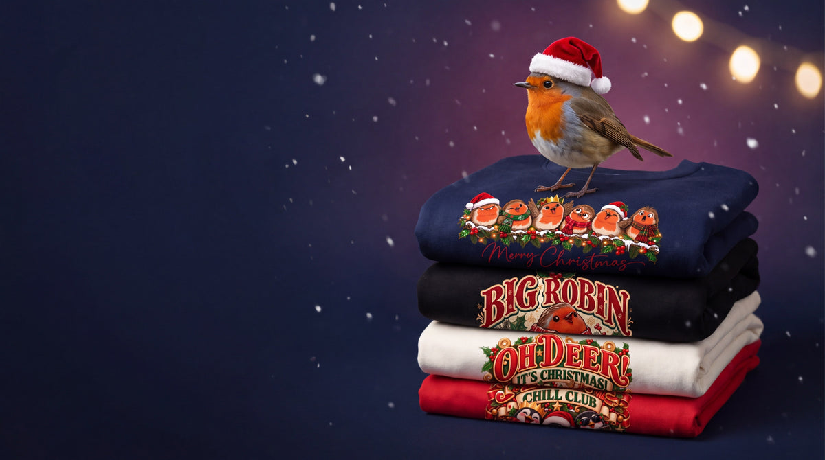 The Christmas Robin - Ricki Robin