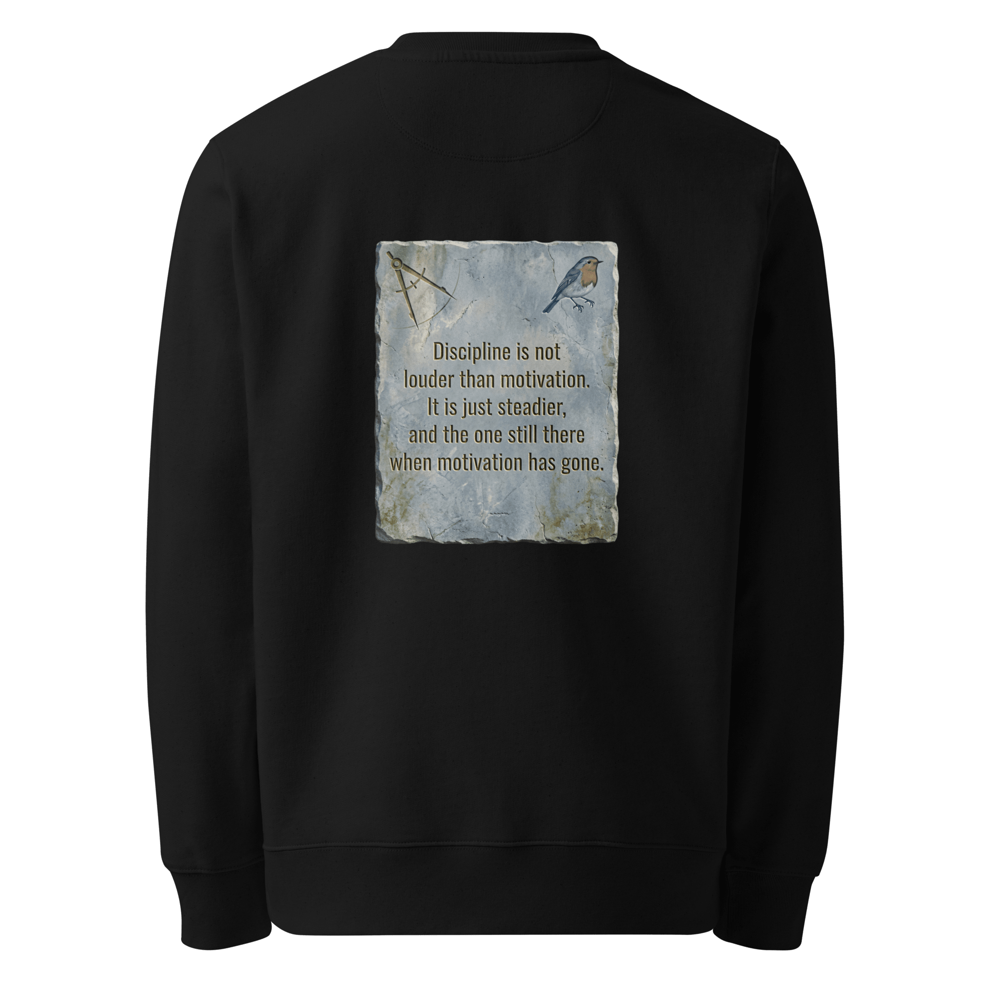 Steadier Than Motivation Sweater — Ricki Robin