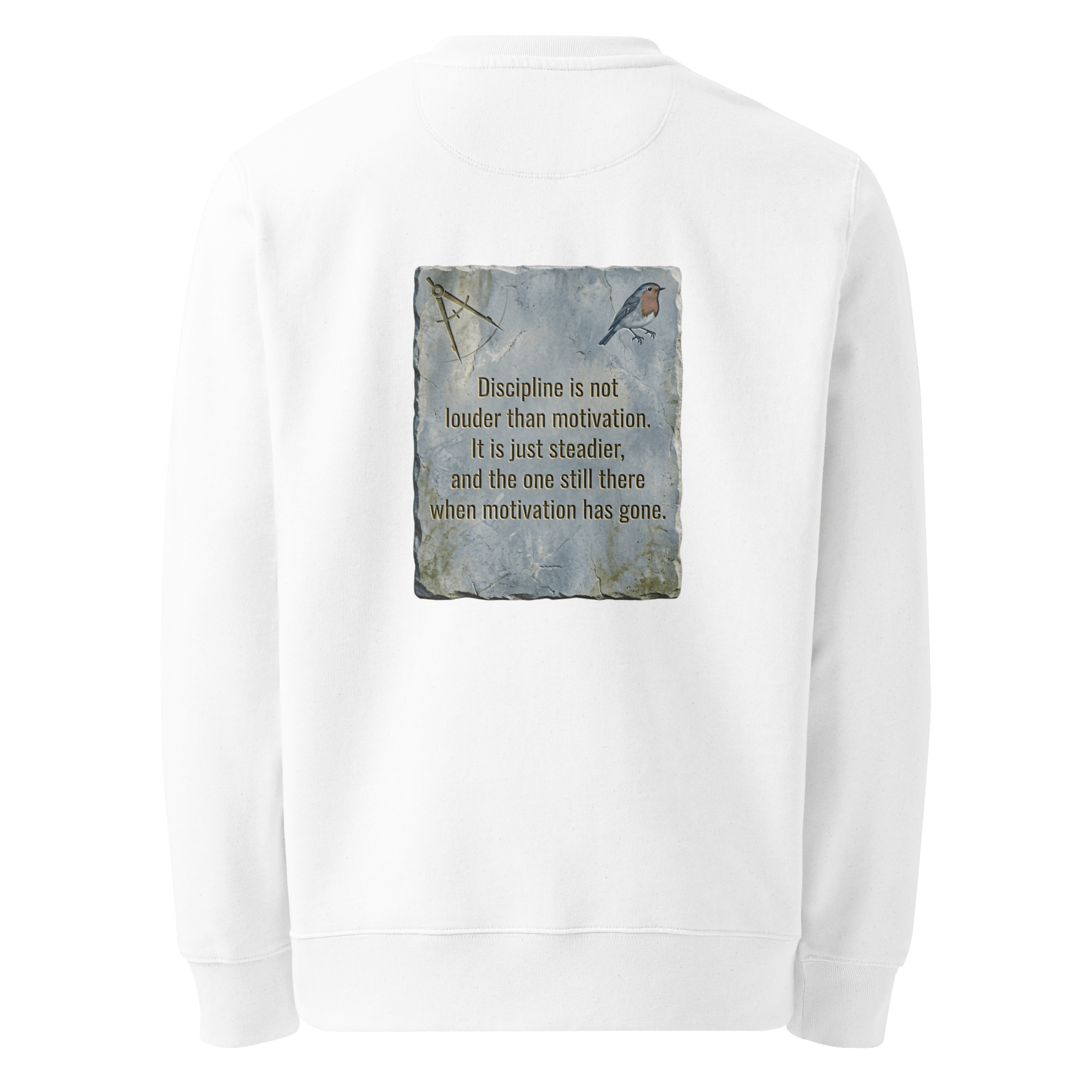 Steadier Than Motivation Sweater — Ricki Robin