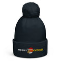 8-Bit Robin Title Screen Christmas Pom-Pom Beanie - Ricki Robin