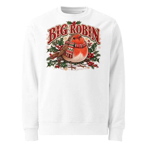 Big Robin Christmas Heavyweight Sweatshirt - Ricki Robin