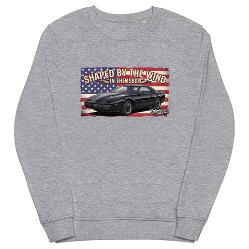 Trans Am Black Wedge Mid-Weight Sweatshirt - Dean's Classic Cars